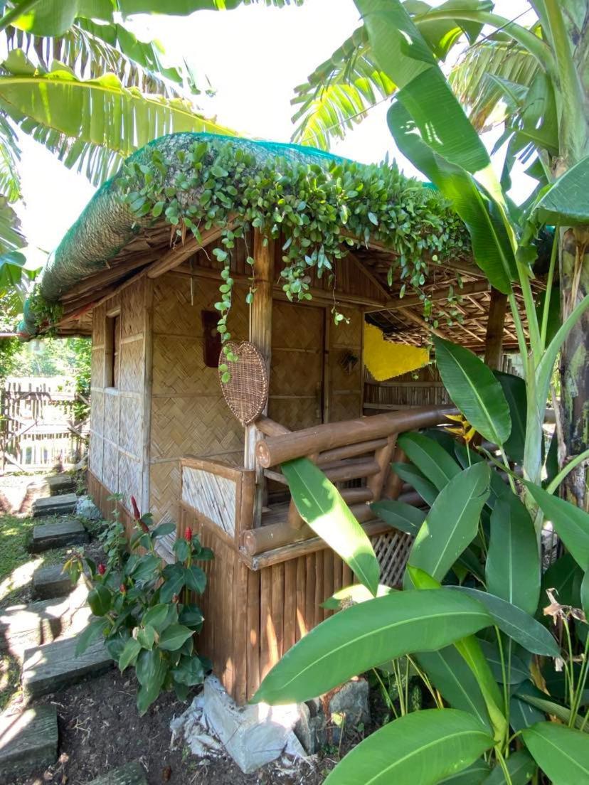 Dupas Luce Love Lodges Talipan 외부 사진