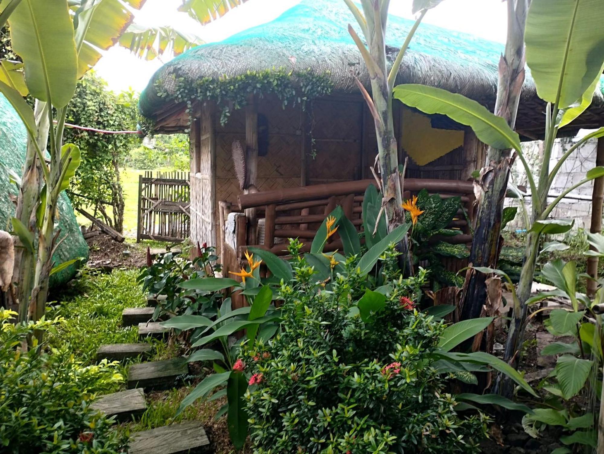 Dupas Luce Love Lodges Talipan 외부 사진