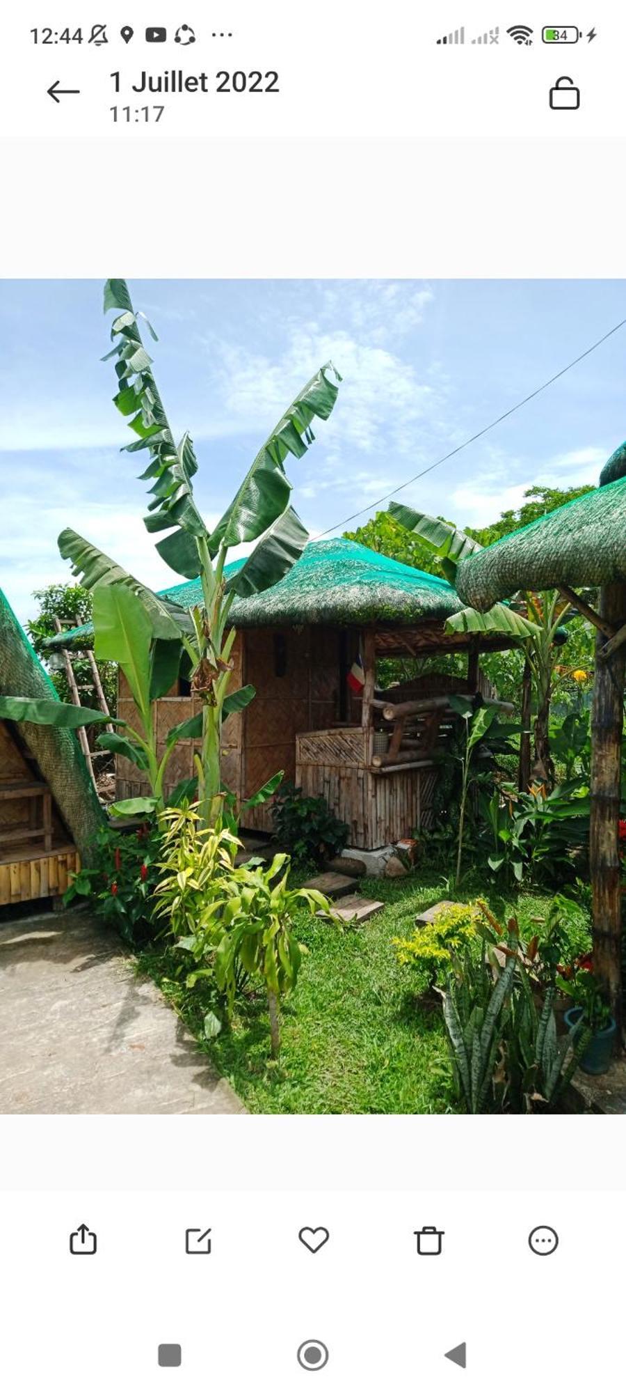 Dupas Luce Love Lodges Talipan 외부 사진